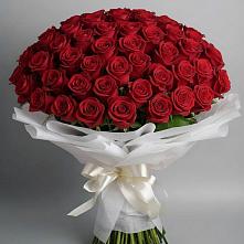 Букет 101 Красная роза Блэк Мэджик #REPLACE_PRED# Тарасовском