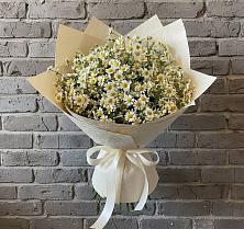 Букет цветов из:  Ромашки в Тарасовском