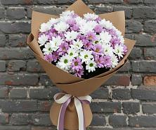 Букет цветов из:  Хризантемы в Тарасовском