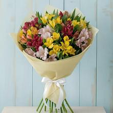 Букет цветов из:  Альстромерии в Тарасовском