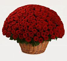 Премиум букет из: Розы в Тарасовском